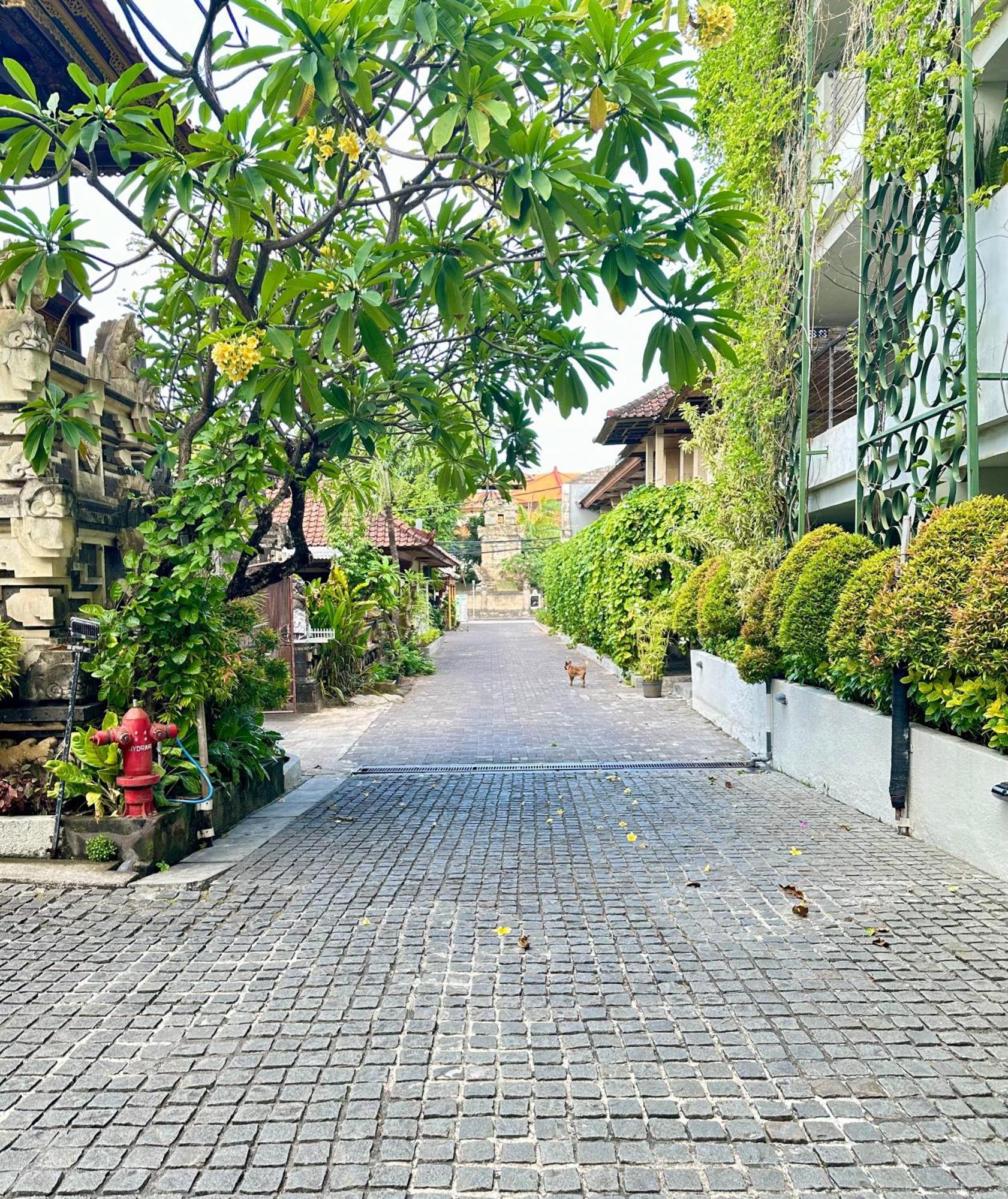 Hotel Ion Bali Benoa à Nusa Dua  Extérieur photo